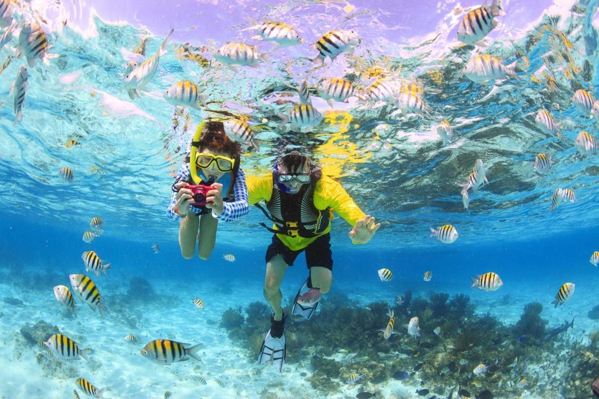 Paradise Retreat, Maafushi Ngoại thất bức ảnh