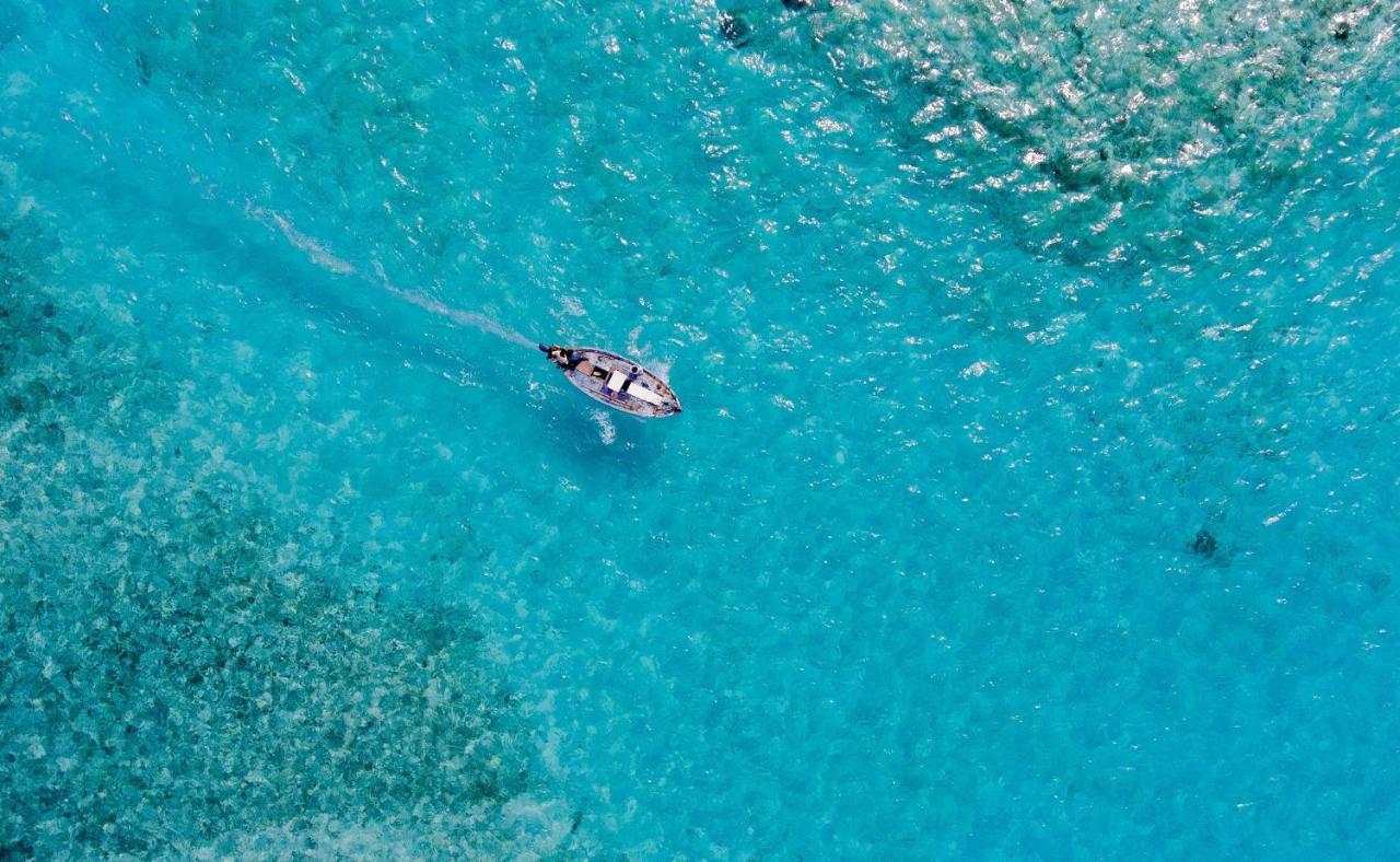 Paradise Retreat, Maafushi Ngoại thất bức ảnh