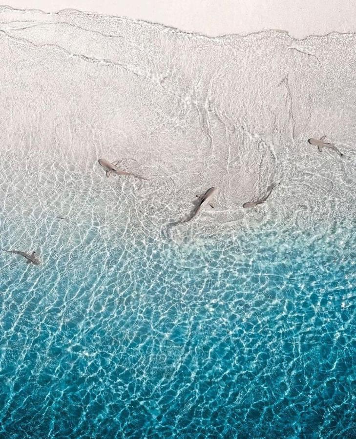 Paradise Retreat, Maafushi Ngoại thất bức ảnh